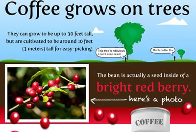 image with facts about coffee